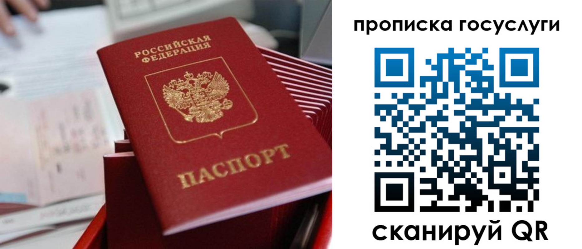 прописка законно в Котовске